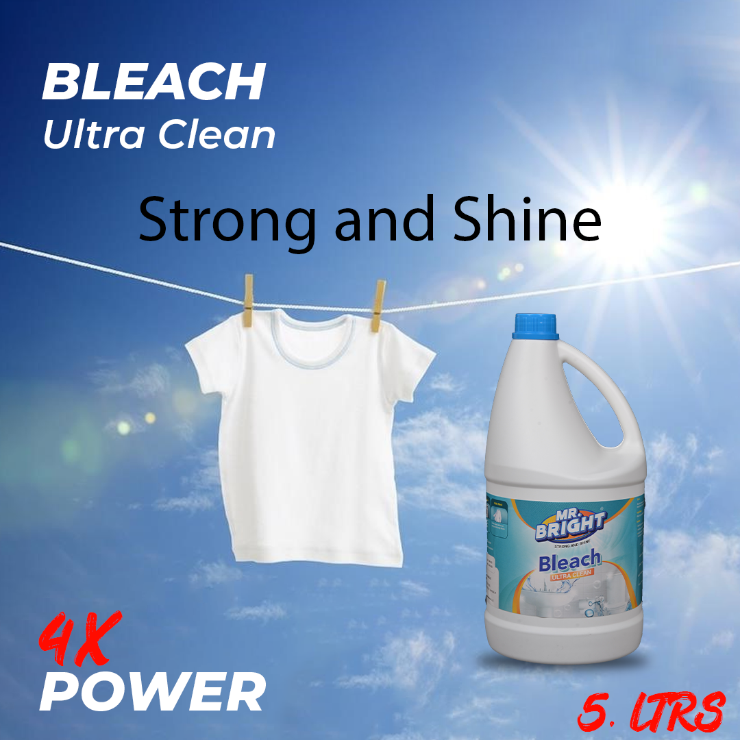 Premium Bleach Liquid Orignal 3.78 Liters Pack of 2